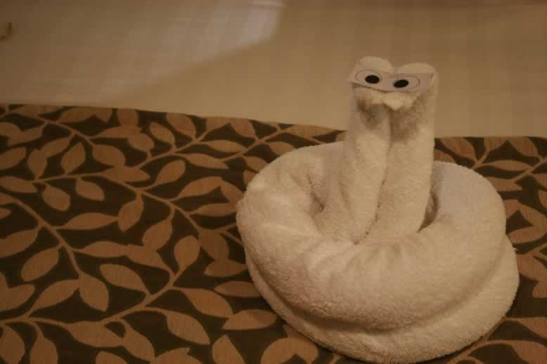Cobra